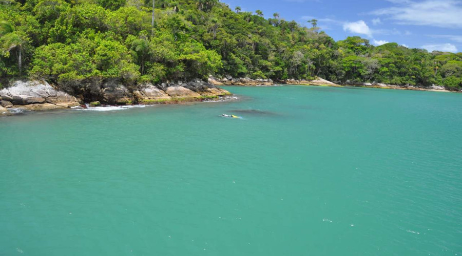 Curioso em saber qual a melhor Praia de Bombinhas ?